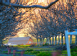 免费ddos在线攻击