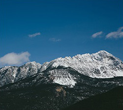 攻击网站服务器